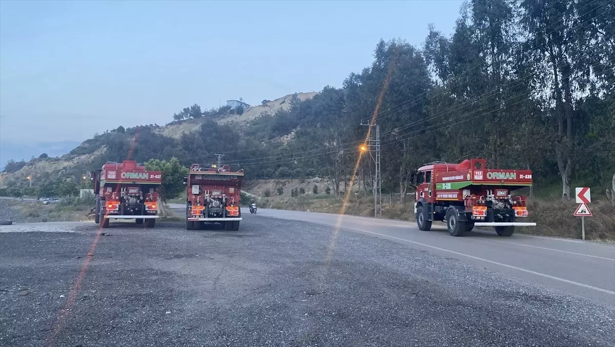 Hatay'ın Arsuz ilçesindeki orman yangını kontrol altına alındı
