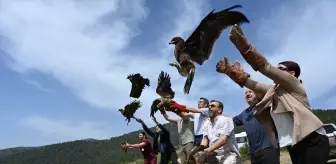 Hatay'da Yaralı 10 Kuş Tedavi Edilerek Doğaya Bırakıldı