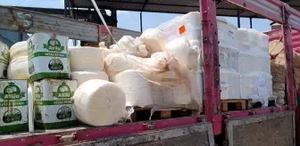 İzmir'de 7 Ton Uygunsuz Peynir İmha Edildi