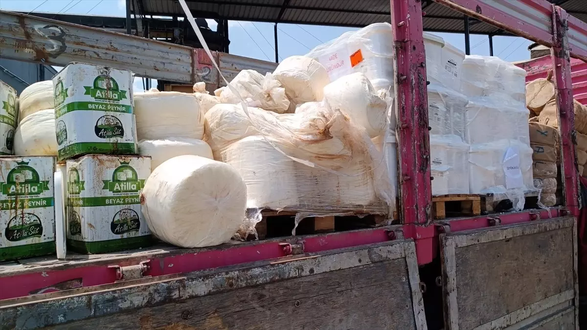 İzmir'de 7 Ton Uygunsuz Peynir İmha Edildi