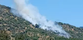 Bayındır'da Zeytinlik ve Makilik Alanda Yangın