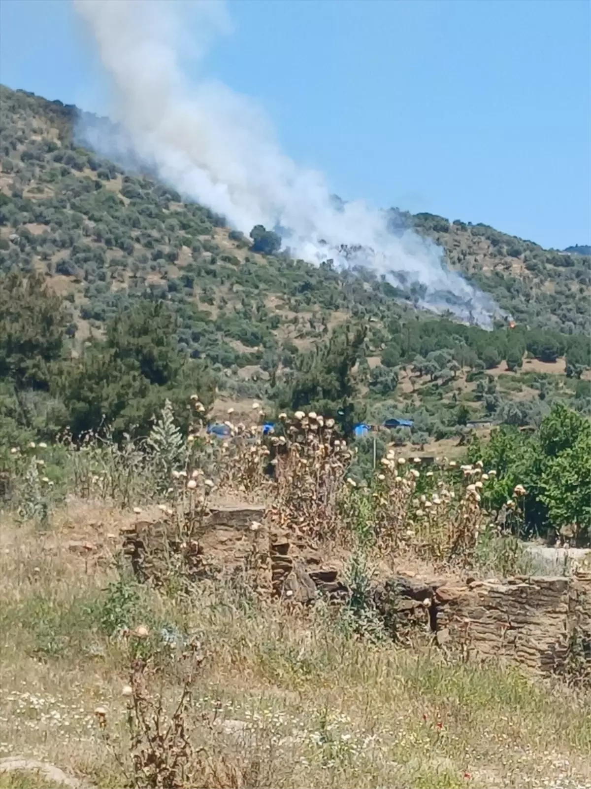 Bayındır'da Zeytinlik ve Makilik Alanda Yangın