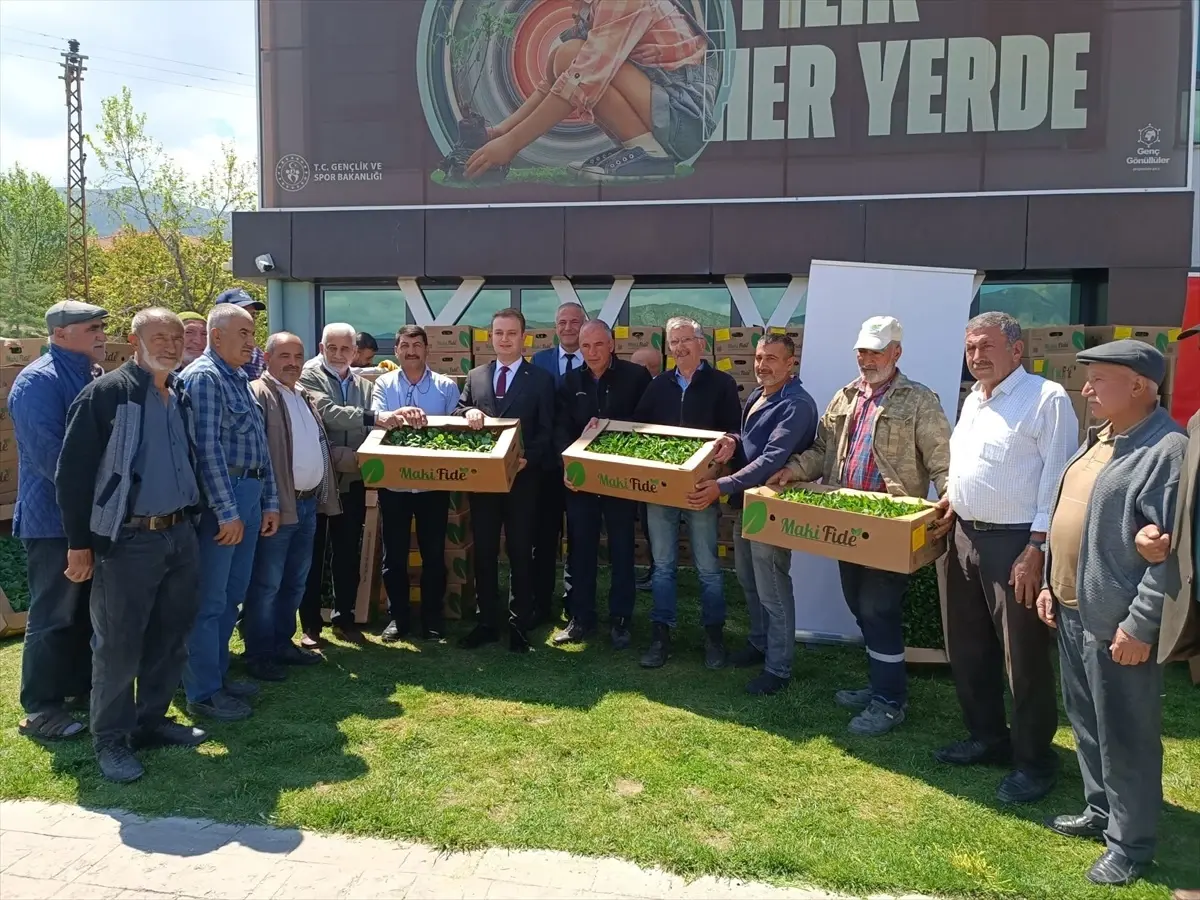 Malatya'da Çiftçilere 101 Bin Fideli Destek