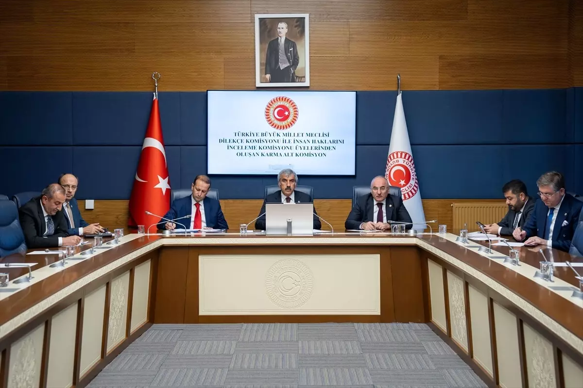 Kamu denetçileri TBMM'de milletvekillerini bilgilendirdi