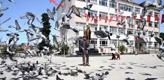 92 Yaşındaki Ali Haydar Turan'ın Güvercinlere Olan Sevgisi