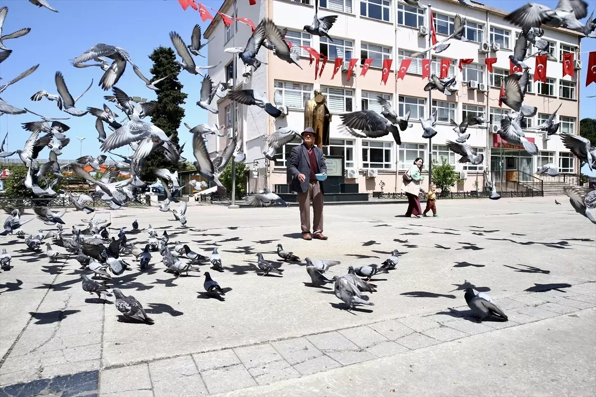92 Yaşındaki Ali Haydar Turan'ın Güvercinlere Olan Sevgisi