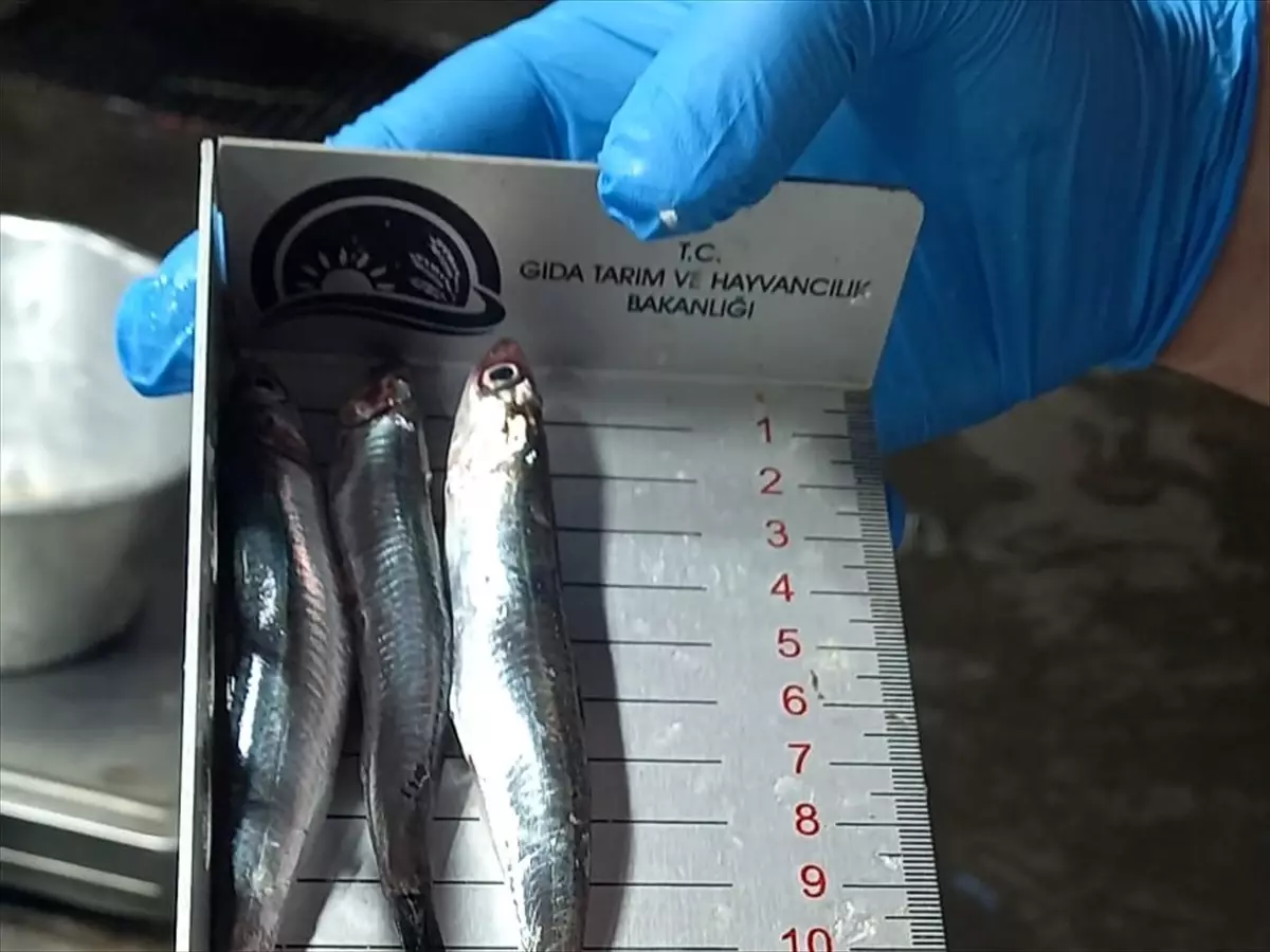 Kırklareli'de Su Ürünleri Denetimi Yapıldı