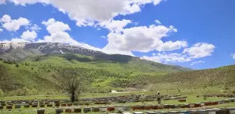 Bingöllü Arıcılar İlkbahar Dönüşü için Hazırlanıyor