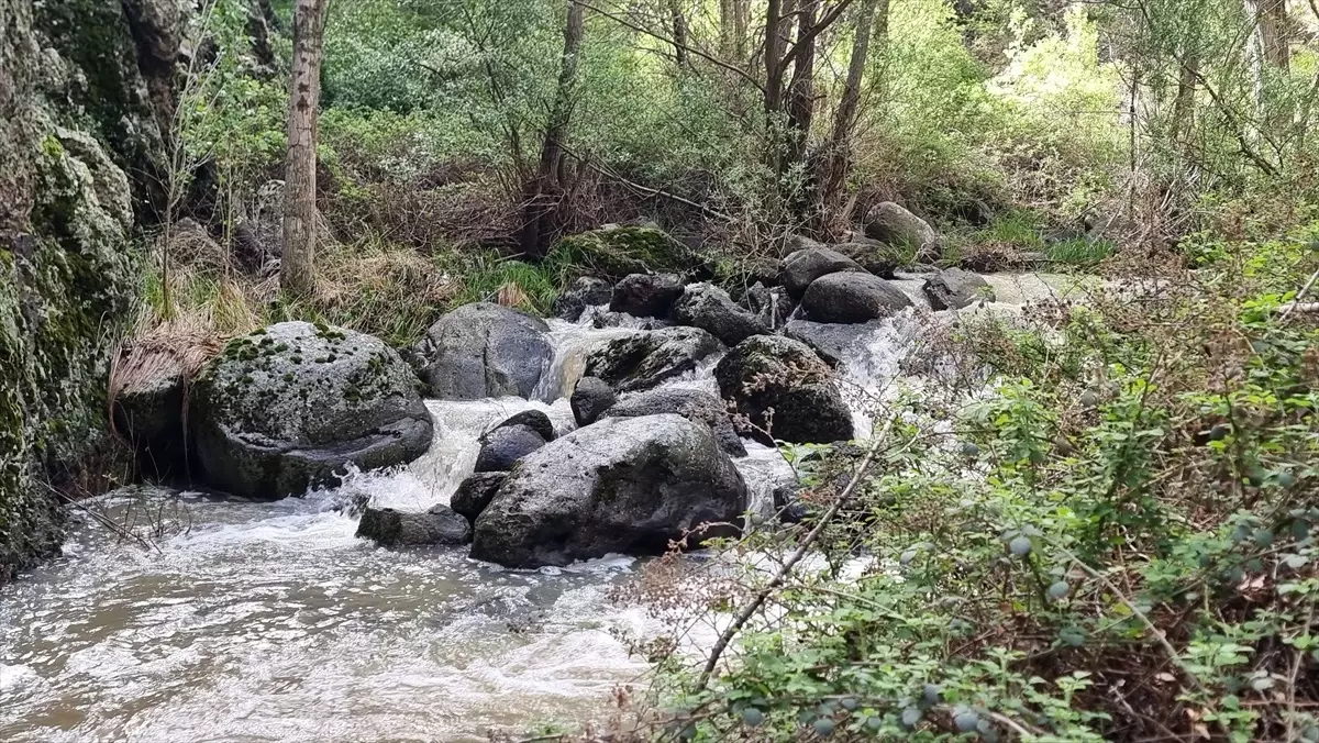 Kızılcahamam'daki Kral Havuzu: Doğaseverler için Eşsiz Bir Rota