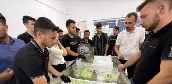 Kumluca Meslek Yüksekokulu Öğrencileri Kurutma Tesisini Ziyaret Etti