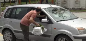 Malatya'da Fideler Üreticilere Dağıtıldı