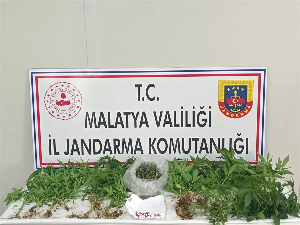Malatya'da Uyuşturucu Operasyonu: 24 Gözaltı, 3 Tutuklama