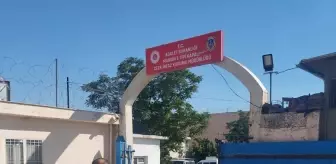 Mardin'de 16 Zanlı Tutuklandı