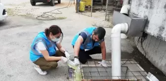 Marmara Denizi Eylem Planı Kapsamında 272 Bin İşletme Denetlendi