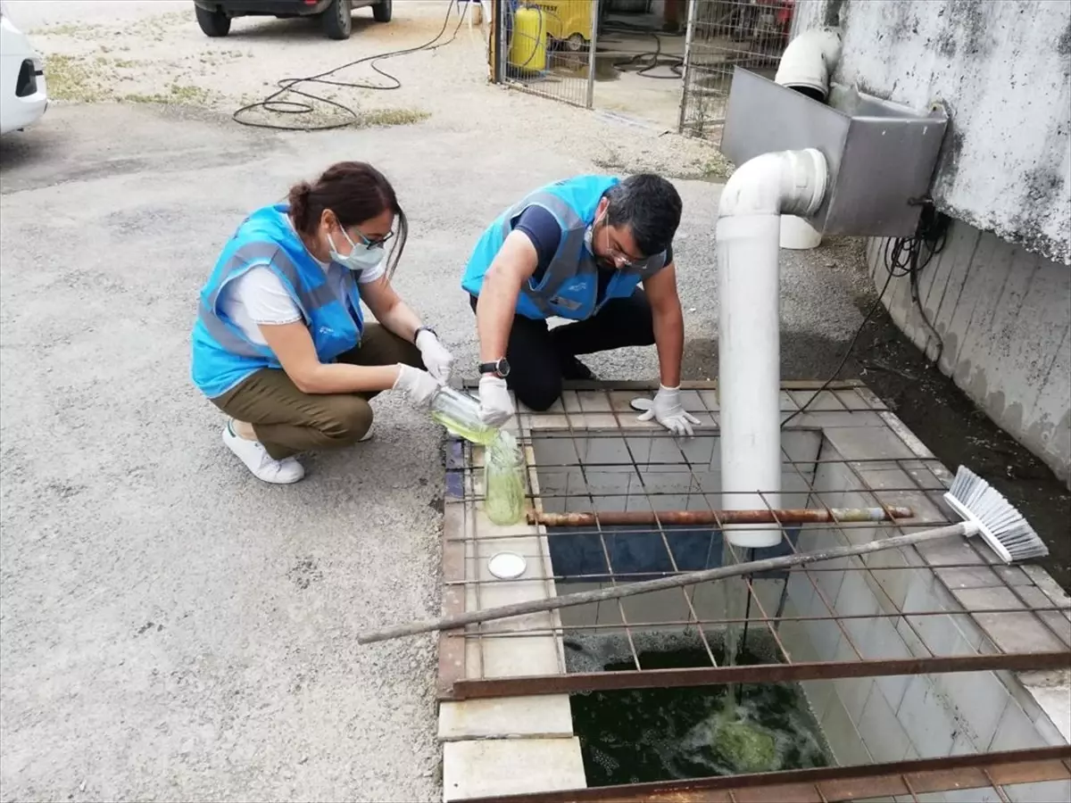 Marmara Denizi Eylem Planı Kapsamında 272 Bin İşletme Denetlendi