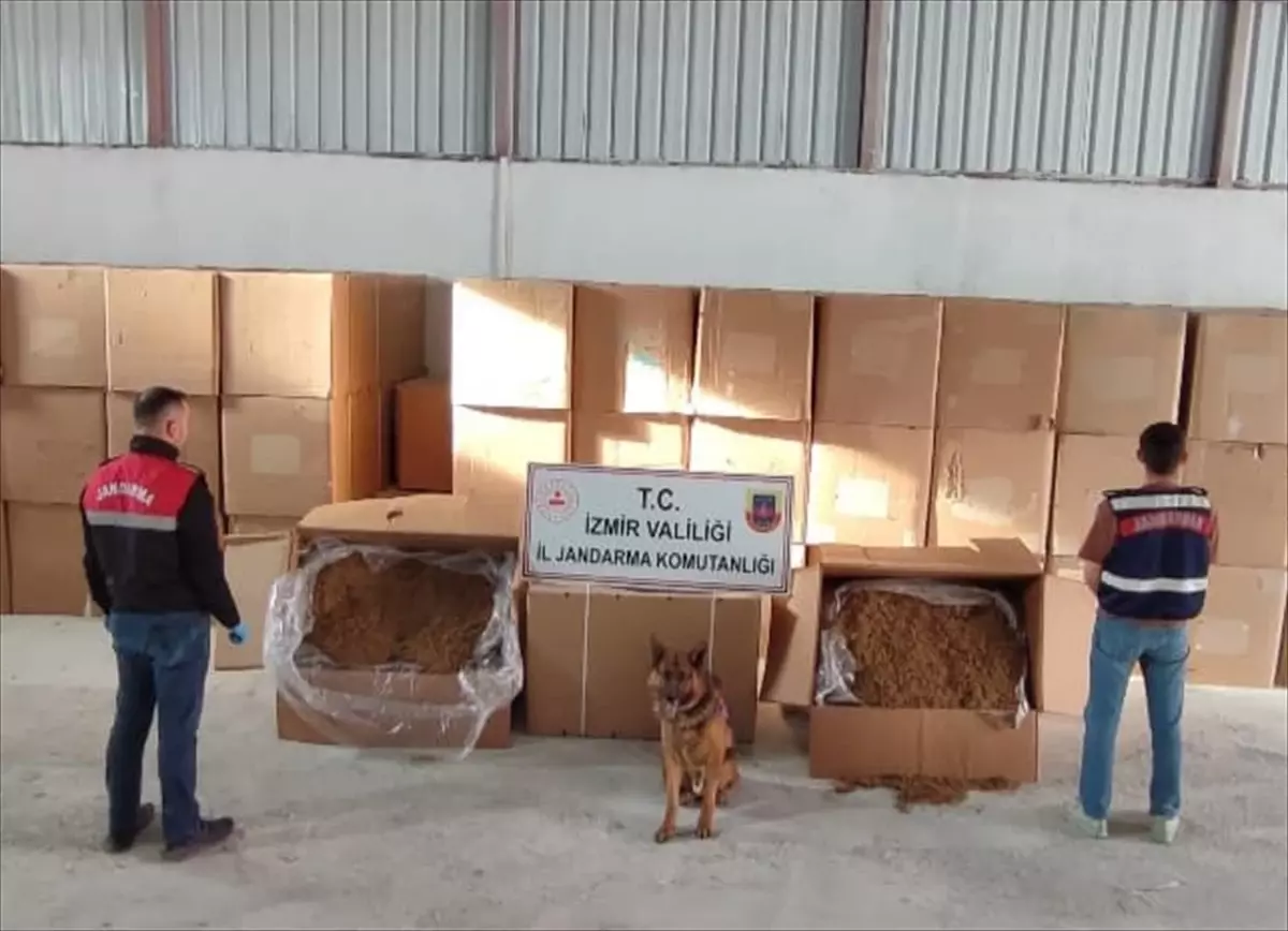 Menderes'te Kaçak Tütün Operasyonu: 2 Şüpheli Yakalandı
