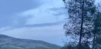 Mersin Tarsus'ta Orman Yangını Kontrol Altına Alındı