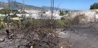 Anamur'da Zirai Alanda Çıkan Yangın Kontrol Altına Alındı