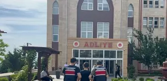 Kahramanmaraş'ta Motosikletle Sürüklenen Köpek Olayı: Sürücüye Ceza!