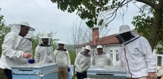 Ordu'da Uluslararası Arıcılık Eğitimi Gerçekleştirildi