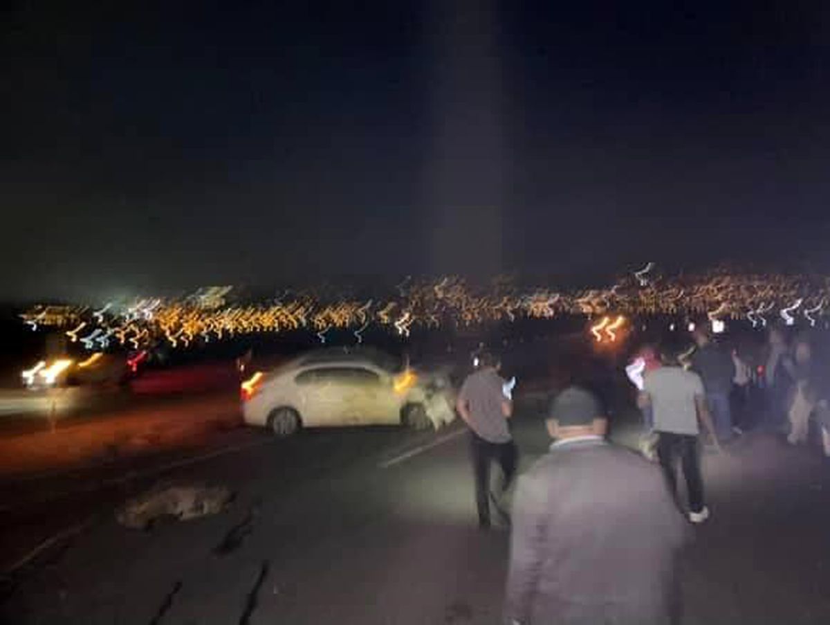 Elazığ'da Koyun Sürüsüne Çarpan Otomobil Kazası: 15 Koyun Telef Oldu