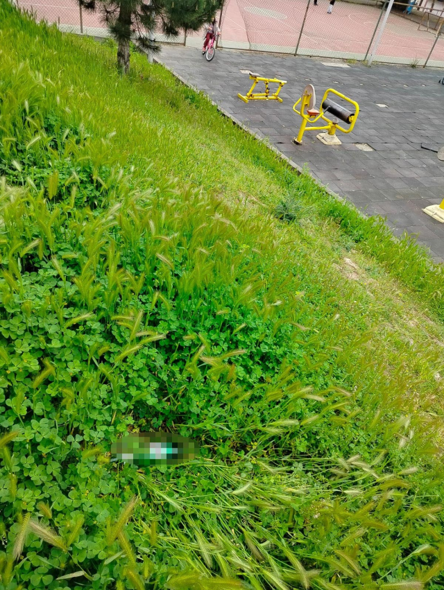 The child who mistook the alcohol bottle for water while playing in the park fell ill