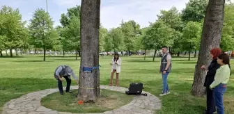 Sakarya'da Ağaç Sağlığı Akustik Tomografi ile İzleniyor