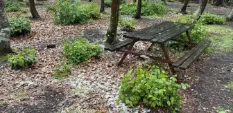 Sakarya'da Dolu ve Sağanak Yağış Başladı