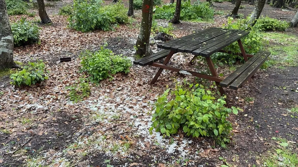 Sakarya'da Dolu ve Sağanak Yağış Başladı