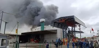 Karasu'da Fındık Kırım Fabrikasında Yangın
