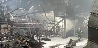 Karasu'daki Fındık Kırım Fabrikasında Yangın