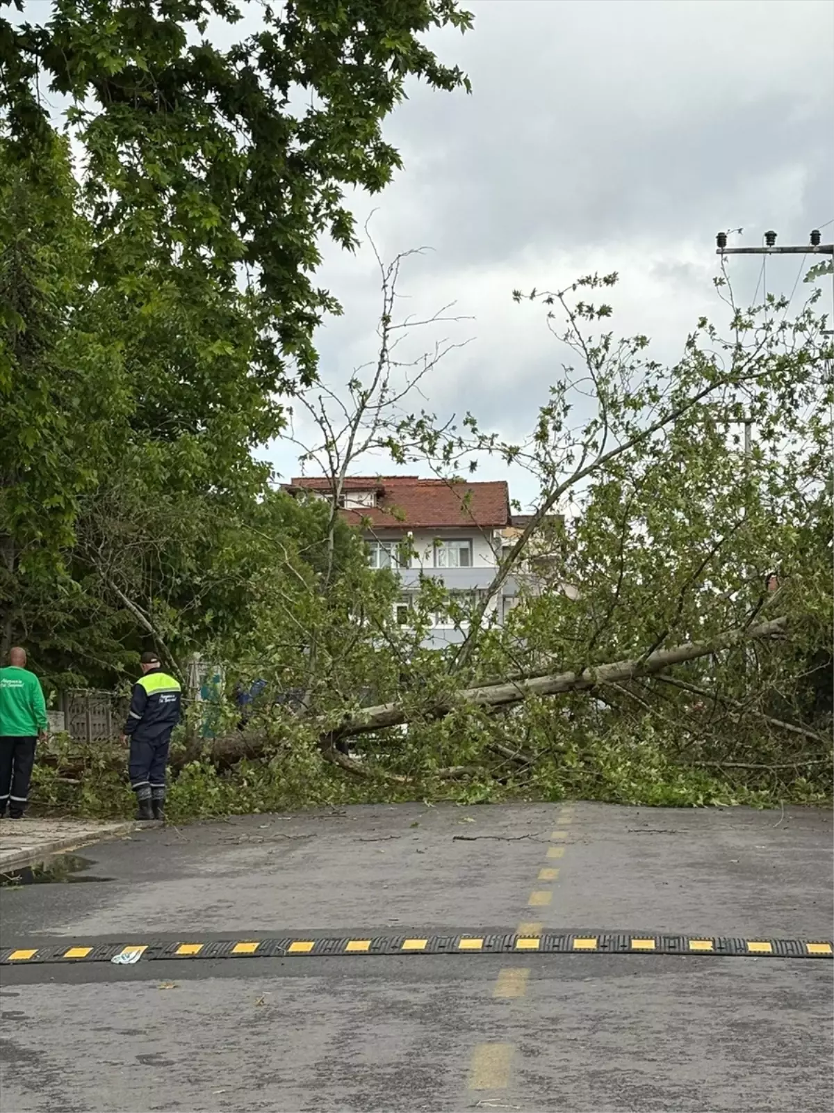 Sakarya'da Fırtına ve Dolu Hayatı Olumsuz Etkiledi