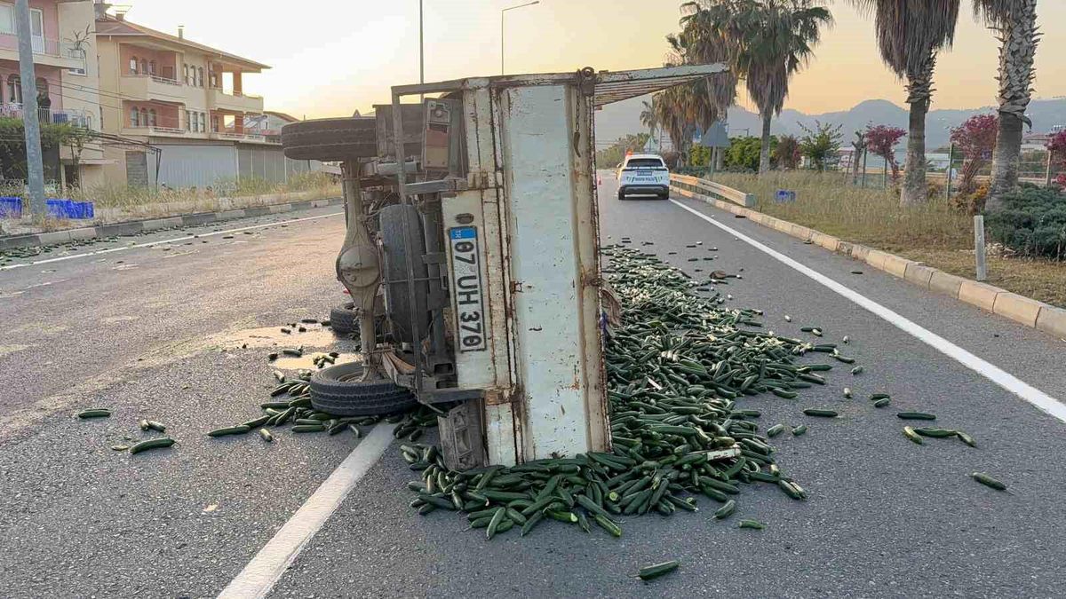 Antalya'da Kontrolden Çıkan Kamyonet Devrildi, Salatalıklar Yola Saçıldı