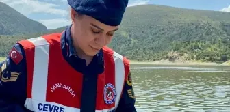Bafra'da Sahipsiz Ağda Yaklaşık 350 Kilogram Balık Kurtarıldı