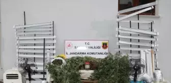 Samsun'da Uyuşturucu Üretimi Operasyonu: 127 Kök Hint Keneviri Ele Geçirildi