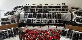 Şanlıurfa'da Kaçak Güneş Gözlüğü Operasyonu: 65 Bin 500 Gözlük Ele Geçirildi