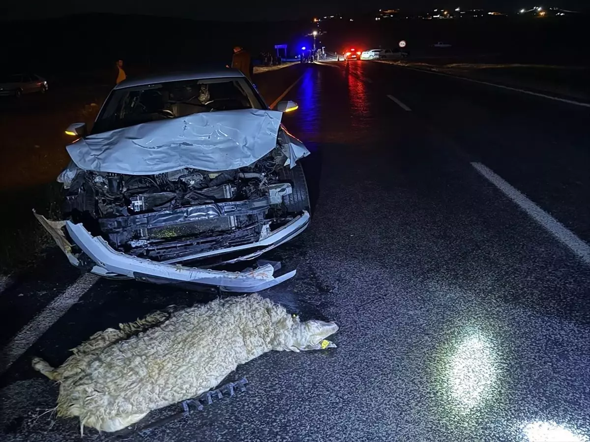 Siverek'te Koyun Sürüsüne Çarpan Otomobilde 3 Yaralı