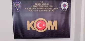 Şırnak'ta Kaçakçılık Operasyonunda 4 Tutuklama