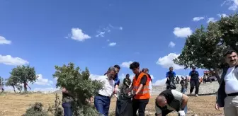 Şırnak'ta 'Orman Benim' etkinliği düzenlendi