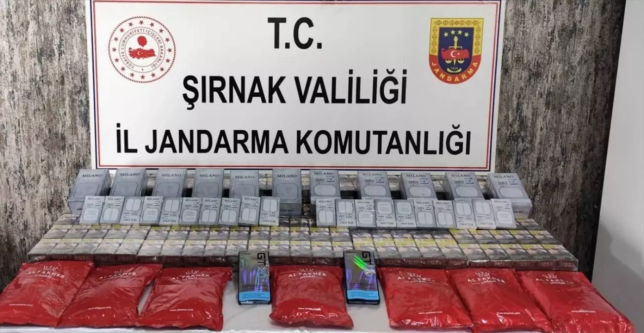 Şırnak'ta Uyuşturucu ve Kaçakçılık Operasyonları: 22 Gözaltı