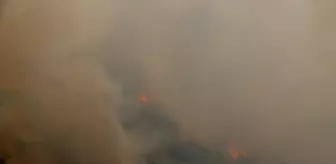 Suriye'de Orman Yangını Altıncı Gününde Devam Ediyor