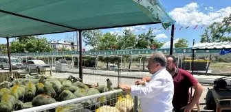 Talas'ta Kurbanlık Hayvan Satışı İçin Başvurular Başladı
