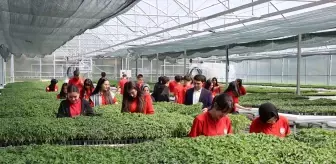 Tarım Lisesi Öğrencileri 1 Milyon Fide Üretmeyi Hedefliyor
