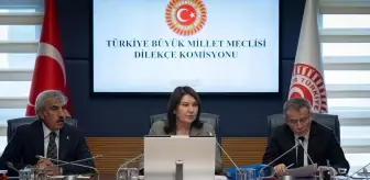 TBMM Dilekçe Komisyonuna 2 yılda yaklaşık 19 bin başvuru yapıldı