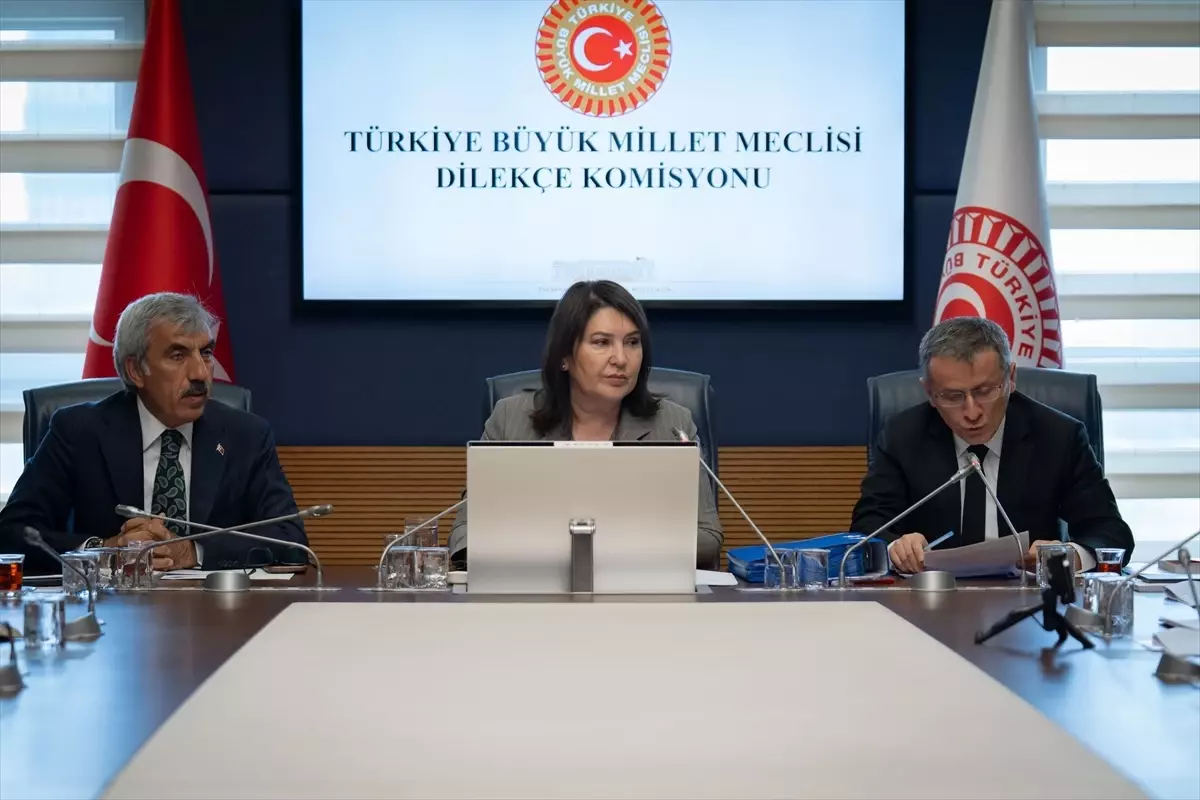 TBMM Dilekçe Komisyonuna 2 yılda yaklaşık 19 bin başvuru yapıldı