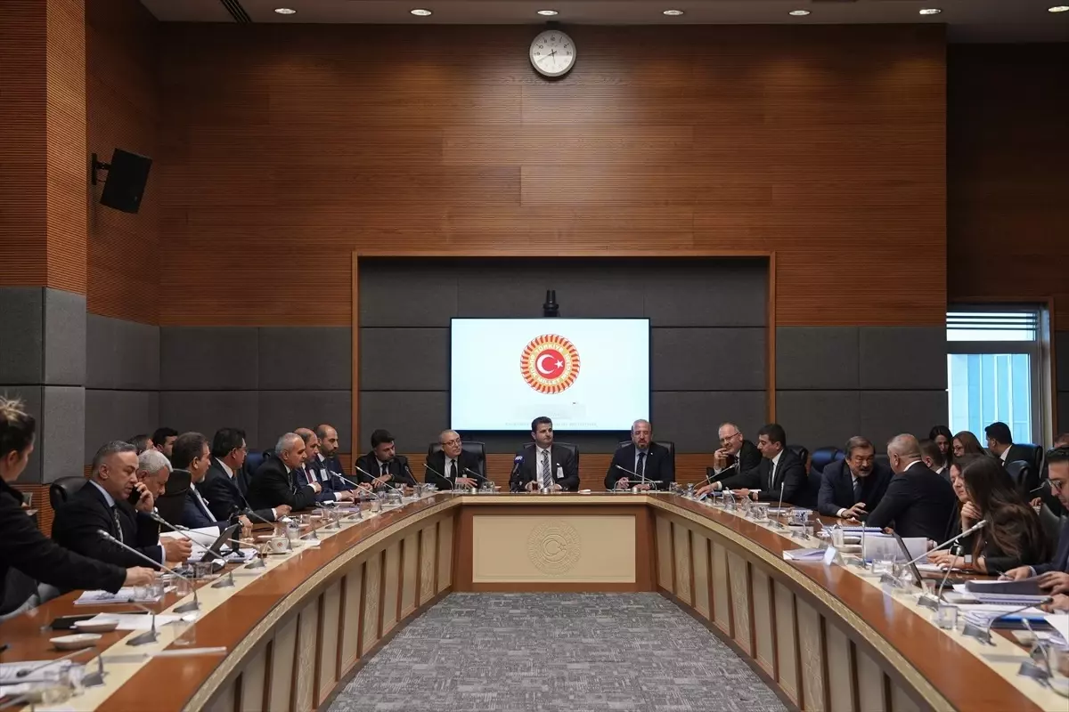NÜTED, Akkuyu NGS Hesaplarını TBMM'de Görüştü