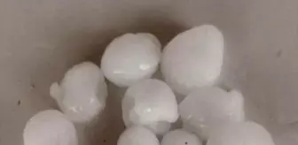 Tokat'ın Almus İlçesinde Dolu Yağışı Hayatı Olumsuz Etkiledi