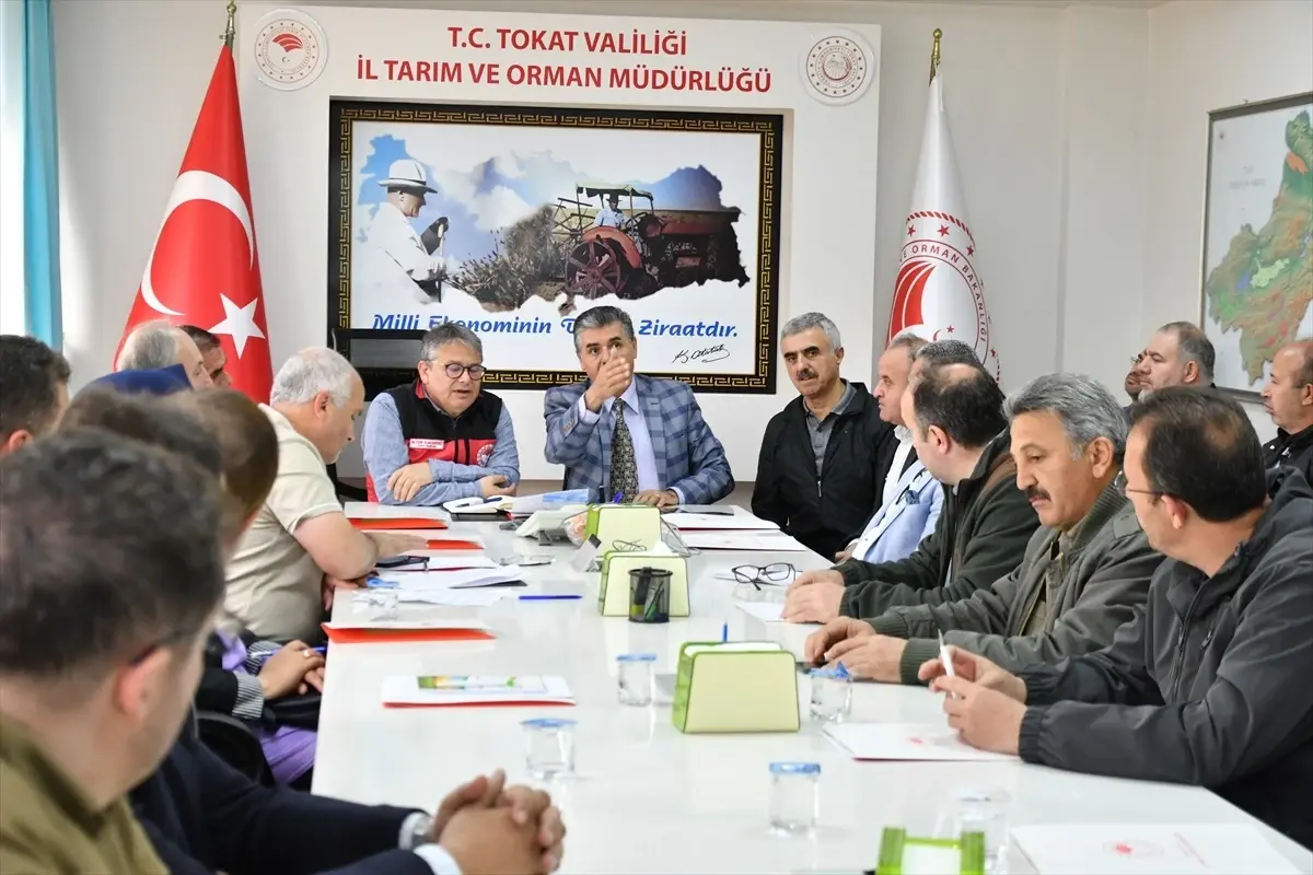 Tokat'ta Zirai Don Sonrası Meyve Ağaçlarının Bakımı İçin Toplantı Gerçekleştirildi