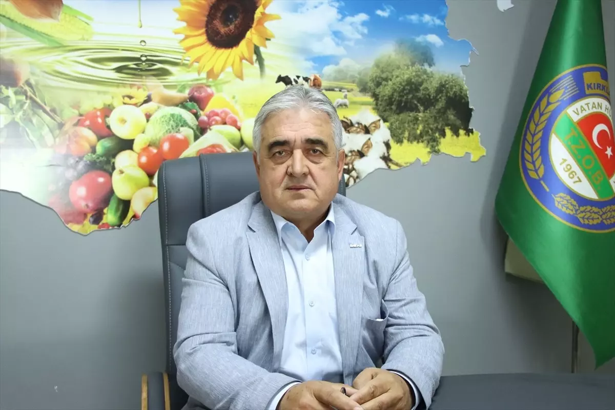 Trakya'da Ayçiçeği Üretimi Gelişiyor