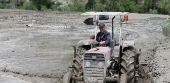 Tosya'da Çeltik Ekim Mesaisi Başladı